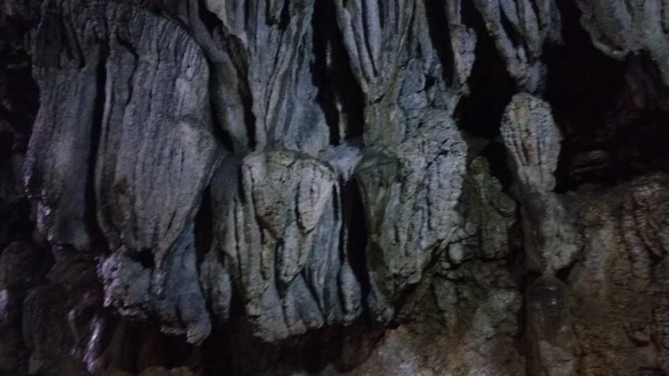Photo of Know how I experienced the best of Meghalaya in just 3 days 15/42 by Nancy Johri