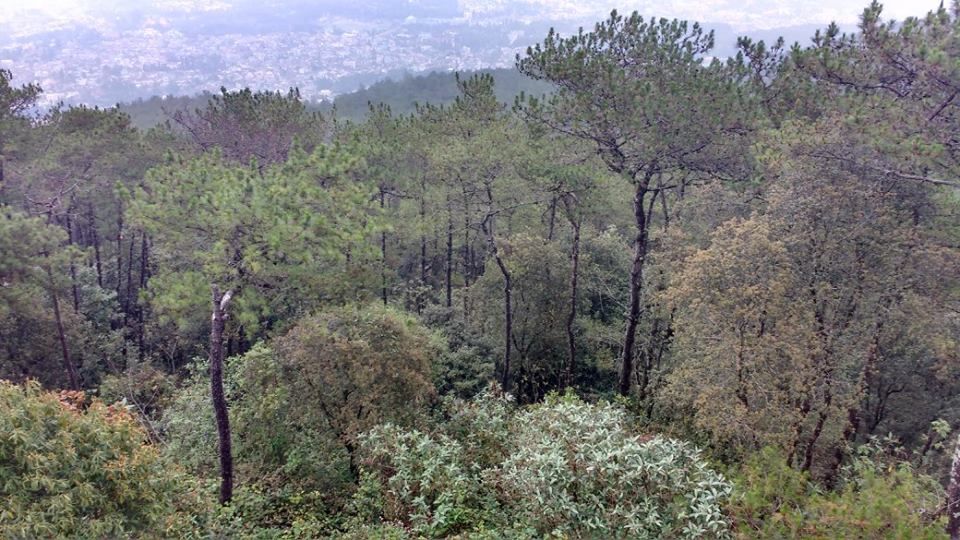 Photo of Know how I experienced the best of Meghalaya in just 3 days 38/42 by Nancy Johri