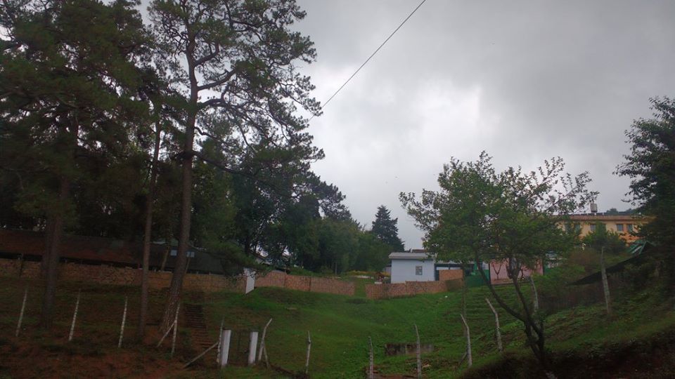 Photo of Know how I experienced the best of Meghalaya in just 3 days 3/42 by Nancy Johri