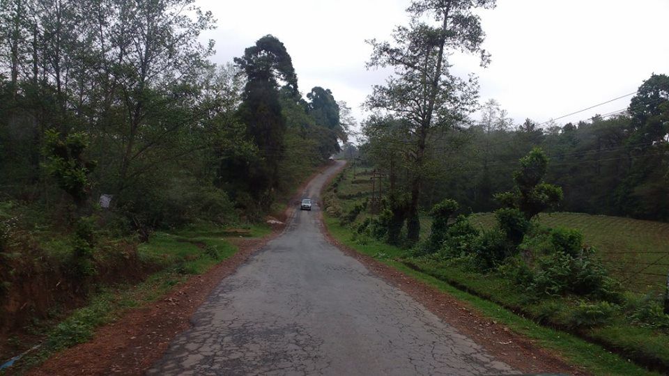 Photo of Know how I experienced the best of Meghalaya in just 3 days 42/42 by Nancy Johri