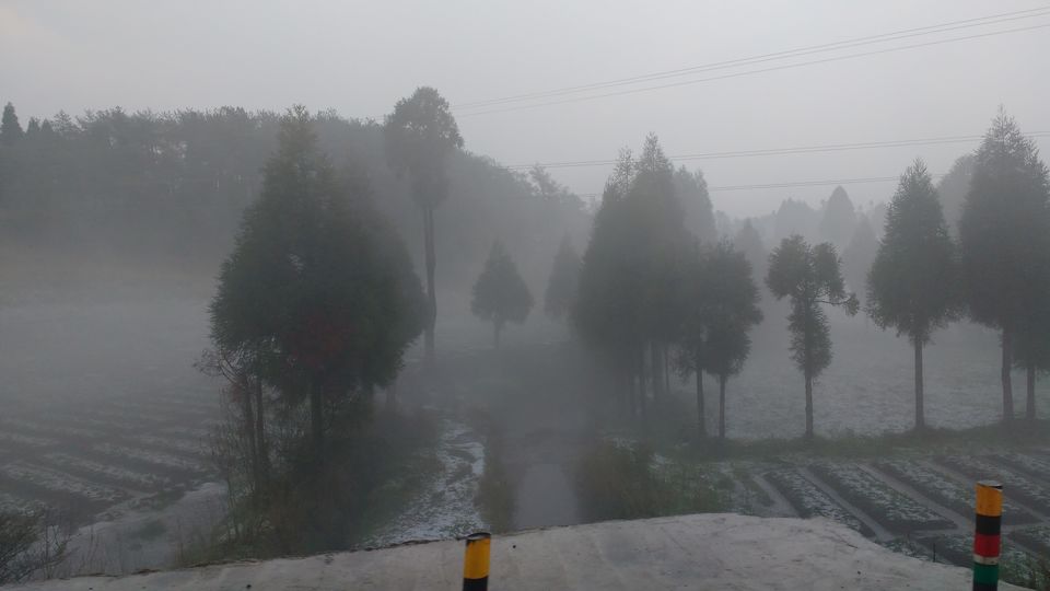Photo of Know how I experienced the best of Meghalaya in just 3 days 2/42 by Nancy Johri