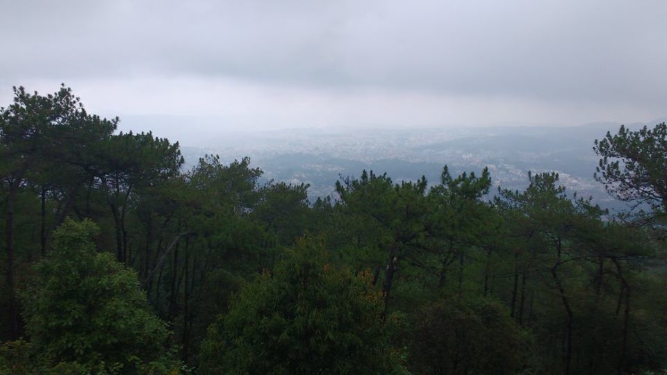 Photo of Know how I experienced the best of Meghalaya in just 3 days 37/42 by Nancy Johri