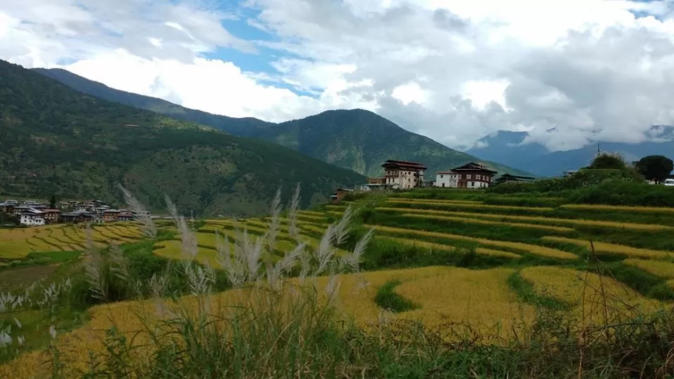 Photo of Bhutan by Nancy Johri
