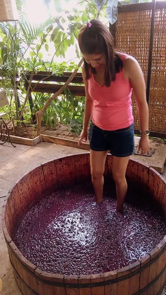 Photo of Sula Vineyards, Nashik, Maharashtra, India by Nancy Johri