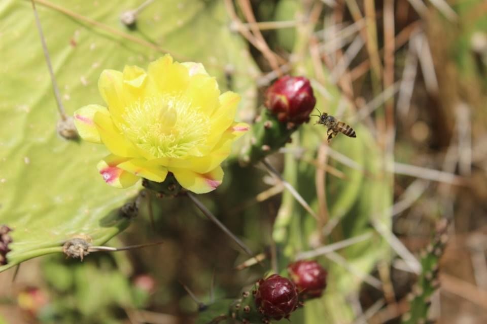 Photo of Kasauli- Explore the unfathomed gem in just 1 day 9/26 by Nancy Johri