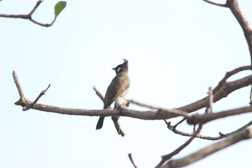 Photo of Kasauli- Explore the unfathomed gem in just 1 day 13/26 by Nancy Johri