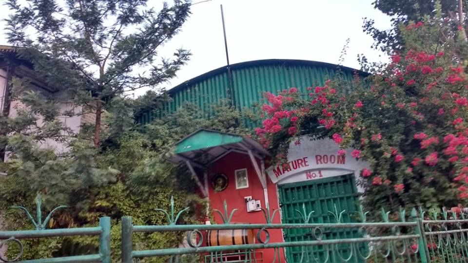 Photo of Kasauli- Explore the unfathomed gem in just 1 day 19/26 by Nancy Johri