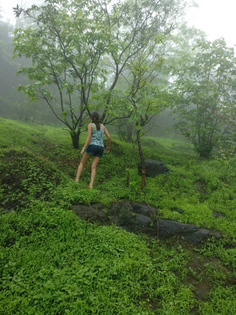 Photo of Kashid Beach: What happens when a Mountain Person sees a Beach for the first time? 6/6 by Nancy Johri