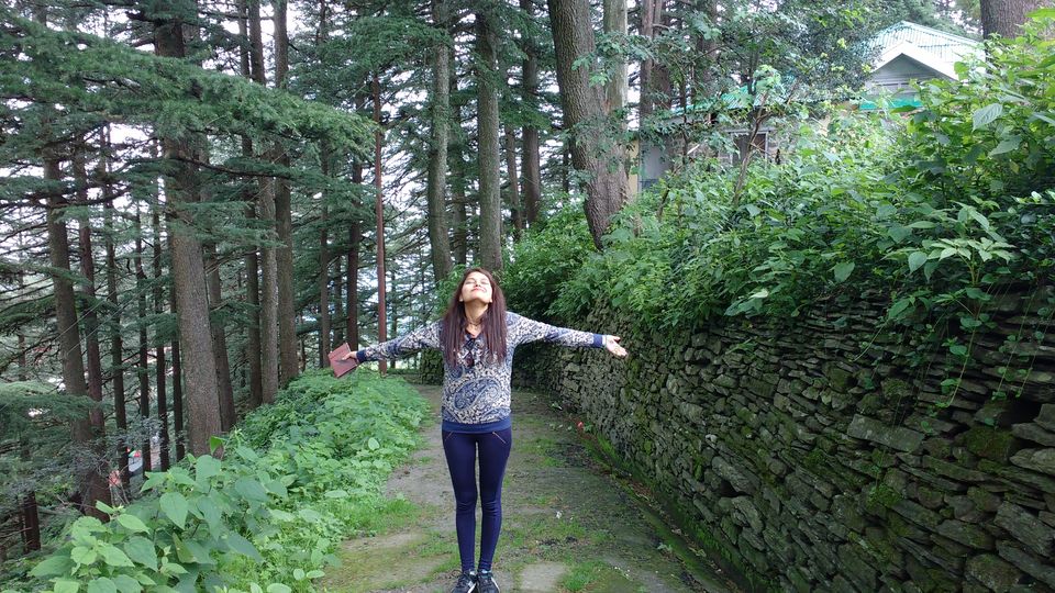 Photo of Chail: A tryst with nature 1/20 by Nancy Johri