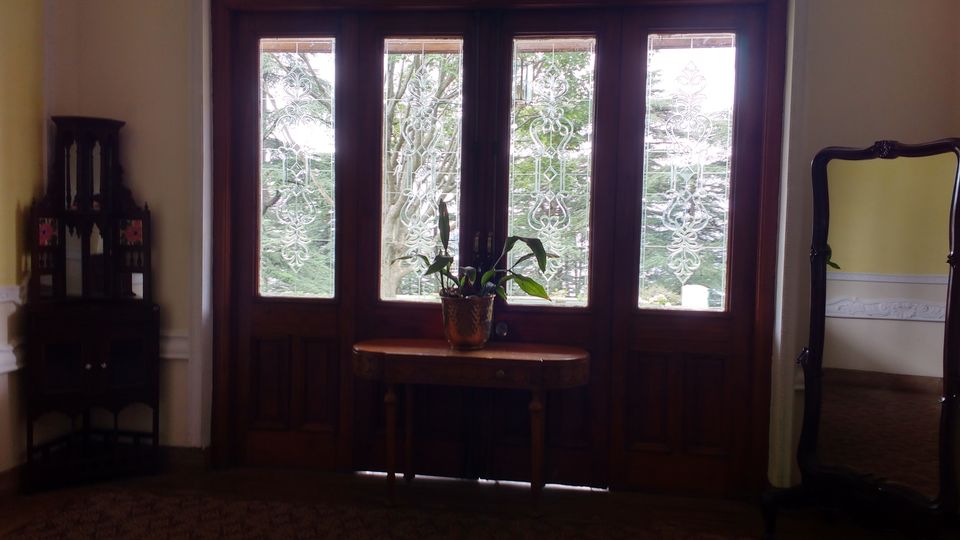 Photo of Chail: A tryst with nature by Nancy Johri