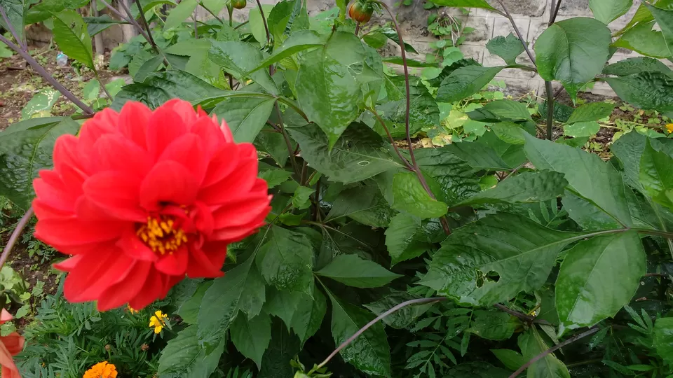 Photo of Chail: A tryst with nature by Nancy Johri