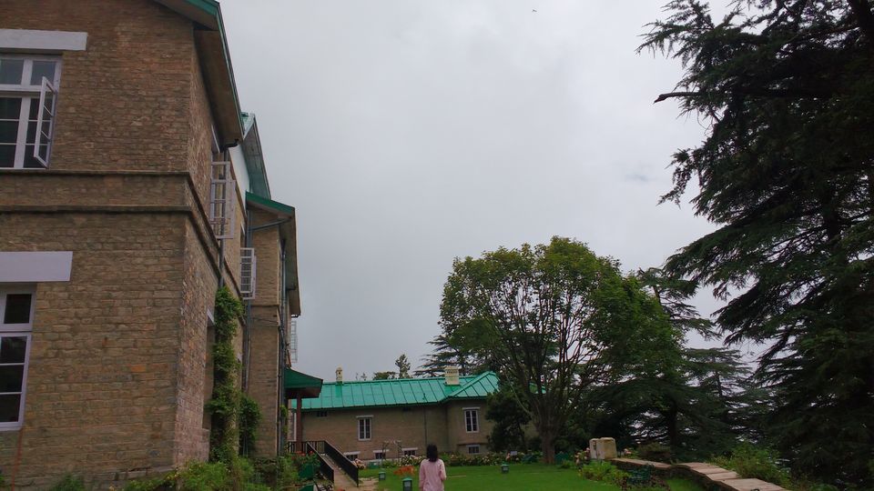 Photo of Chail: A tryst with nature by Nancy Johri