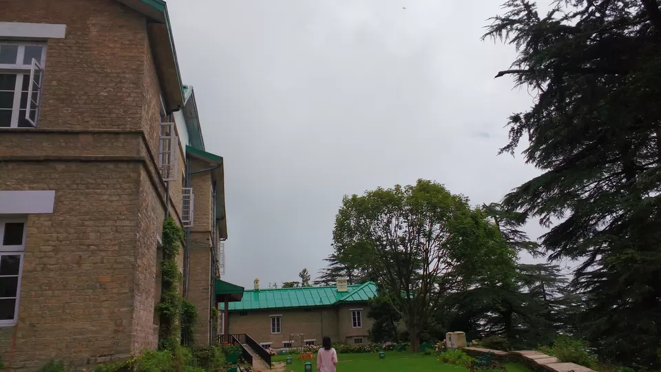 Photo of Chail: A tryst with nature by Nancy Johri