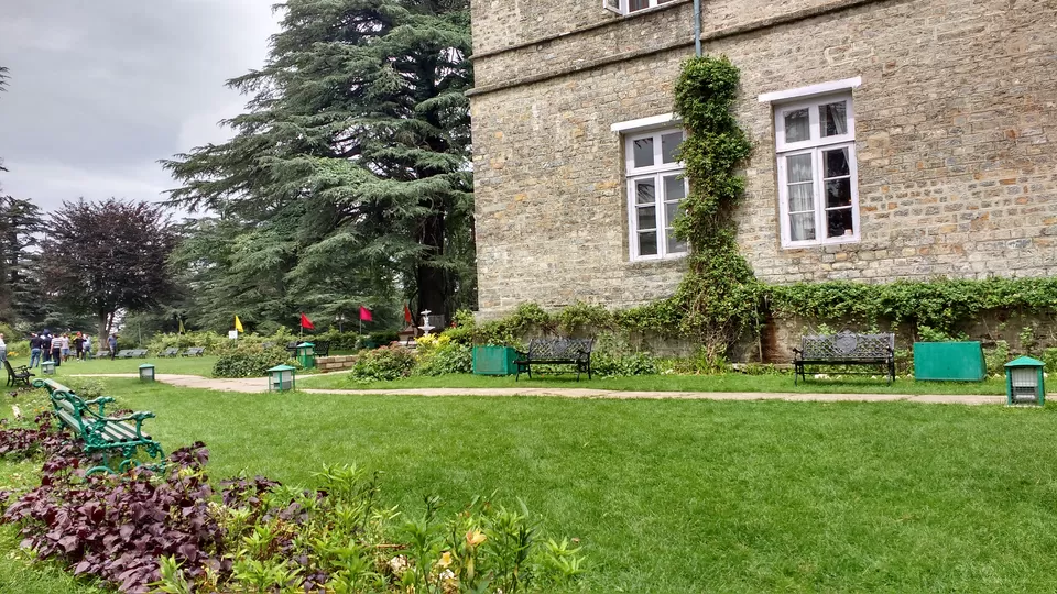 Photo of Chail: A tryst with nature by Nancy Johri