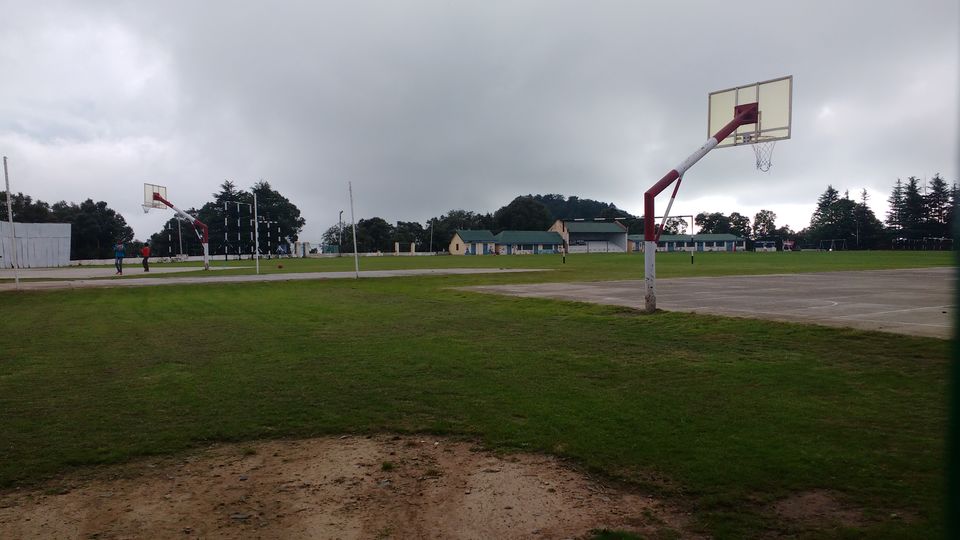 Photo of Chail: A tryst with nature by Nancy Johri