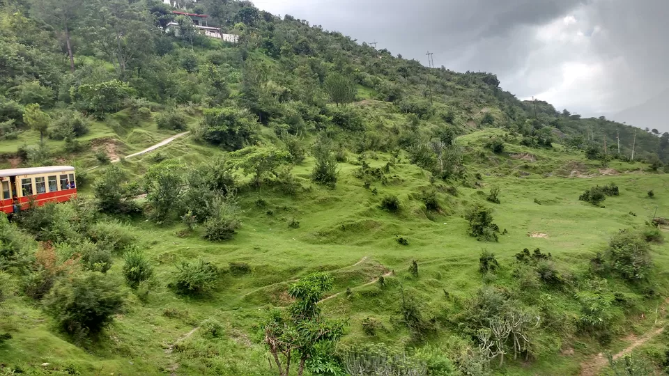 Photo of Chail: A tryst with nature by Nancy Johri