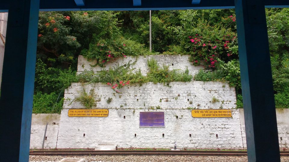 Photo of Chail: A tryst with nature by Nancy Johri