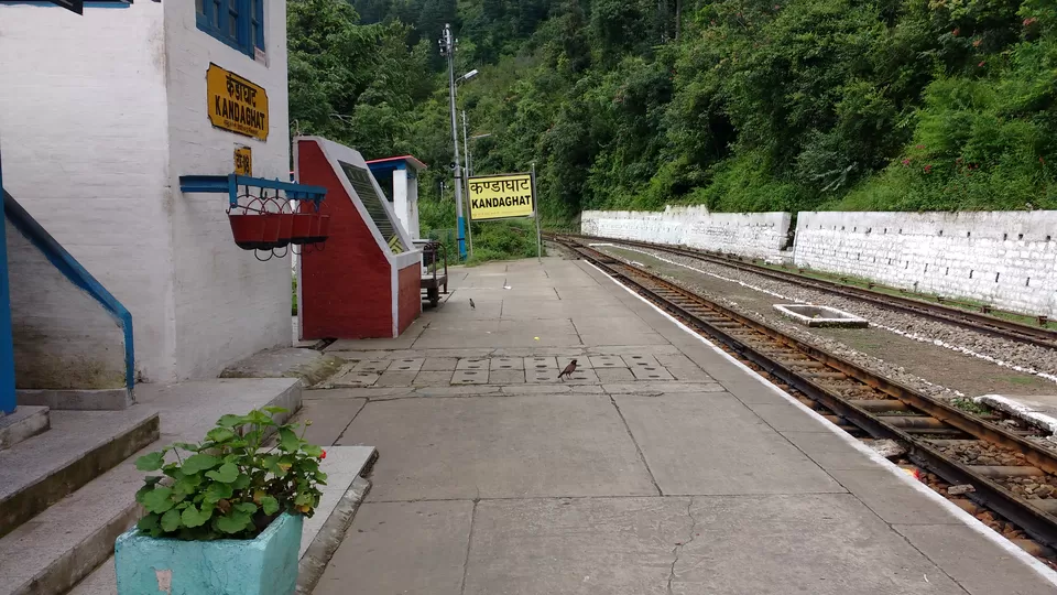 Photo of Chail: A tryst with nature by Nancy Johri