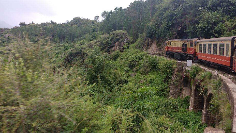 Photo of Chail: A tryst with nature by Nancy Johri