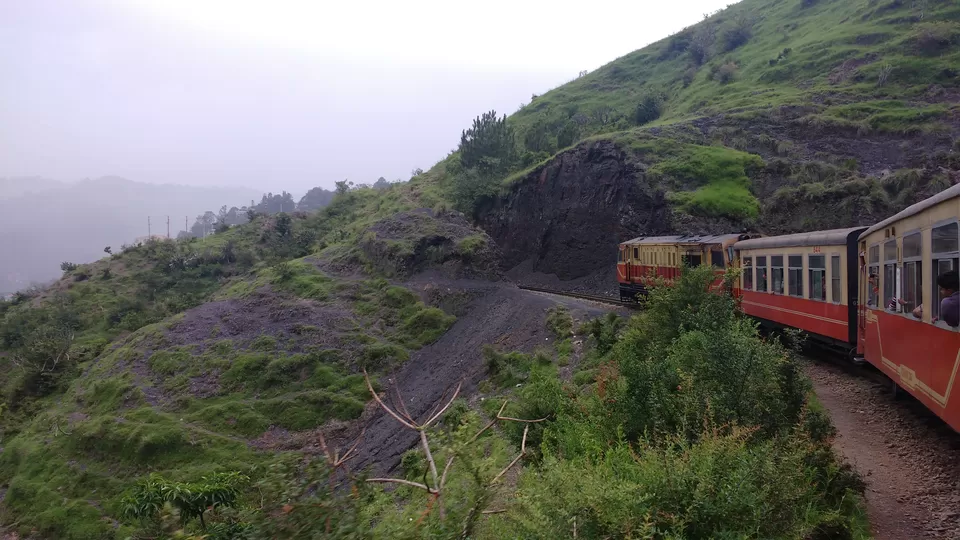 Photo of Chail: A tryst with nature by Nancy Johri