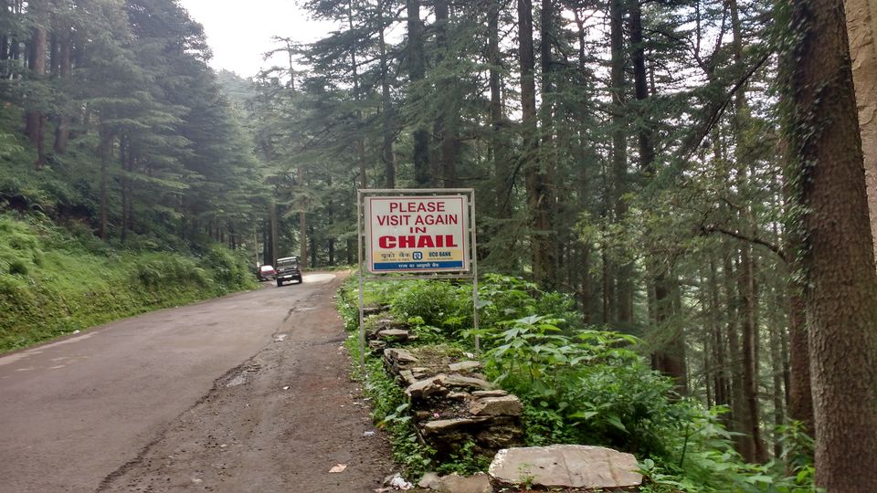 Photo of Chail: A tryst with nature by Nancy Johri