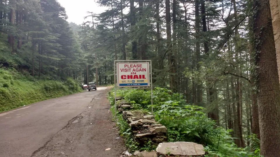 Photo of Chail: A tryst with nature by Nancy Johri