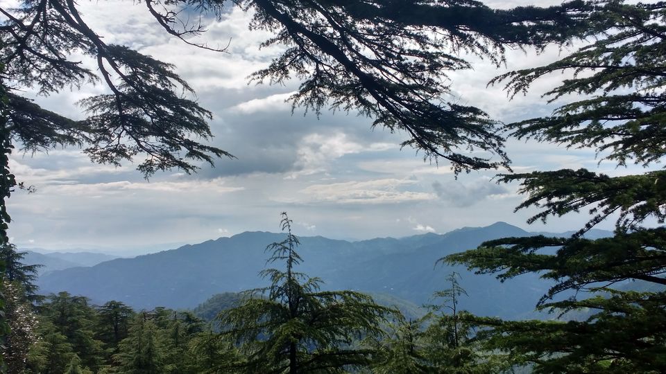 Photo of Chail: A tryst with nature 5/20 by Nancy Johri