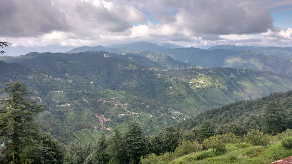 Photo of Chail: A tryst with nature 8/20 by Nancy Johri