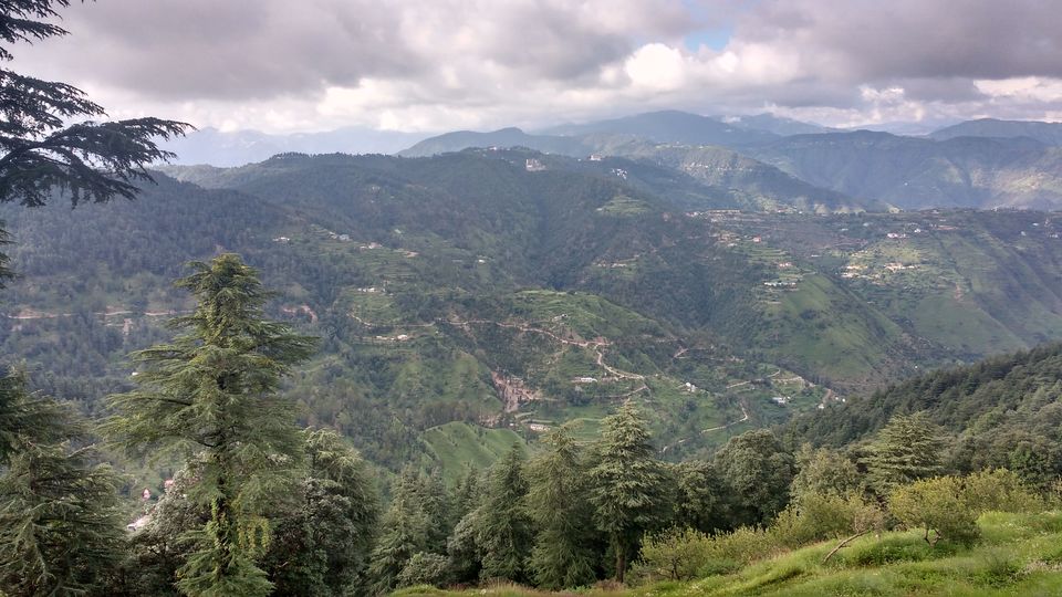 Photo of Chail: A tryst with nature 10/20 by Nancy Johri