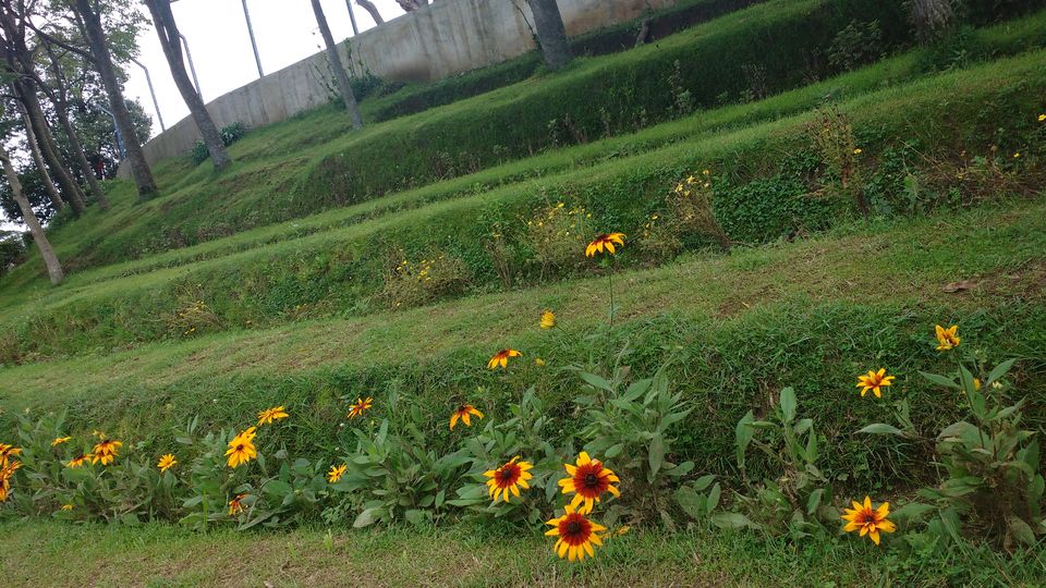 Photo of Chail: A tryst with nature 14/20 by Nancy Johri