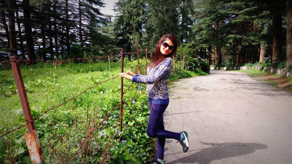 Photo of Chail: A tryst with nature by Nancy Johri