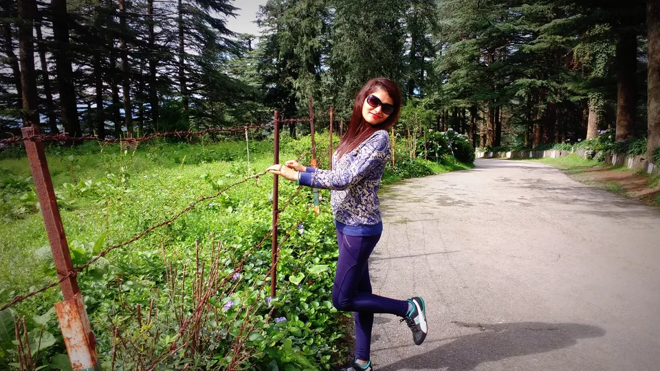 Photo of Chail: A tryst with nature by Nancy Johri