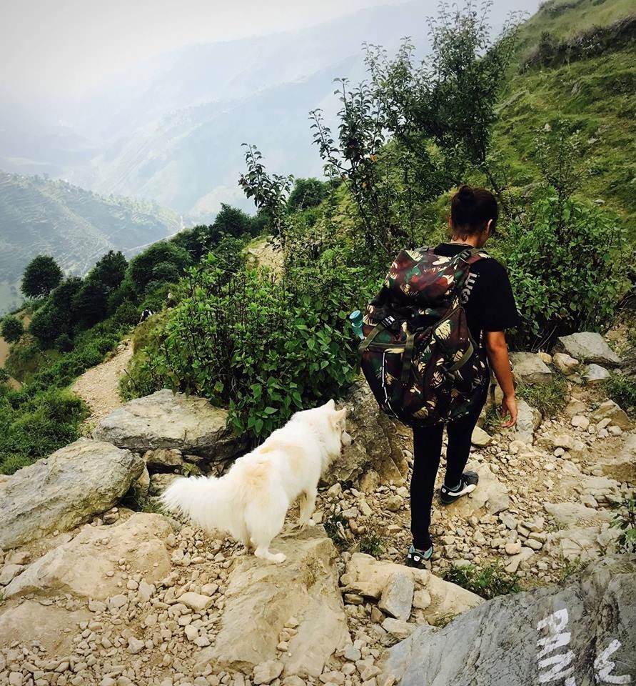 Photo of Nag Tibba Trek: Travel with your dog for a pawsome vacation!!! 1/37 by Nancy Johri