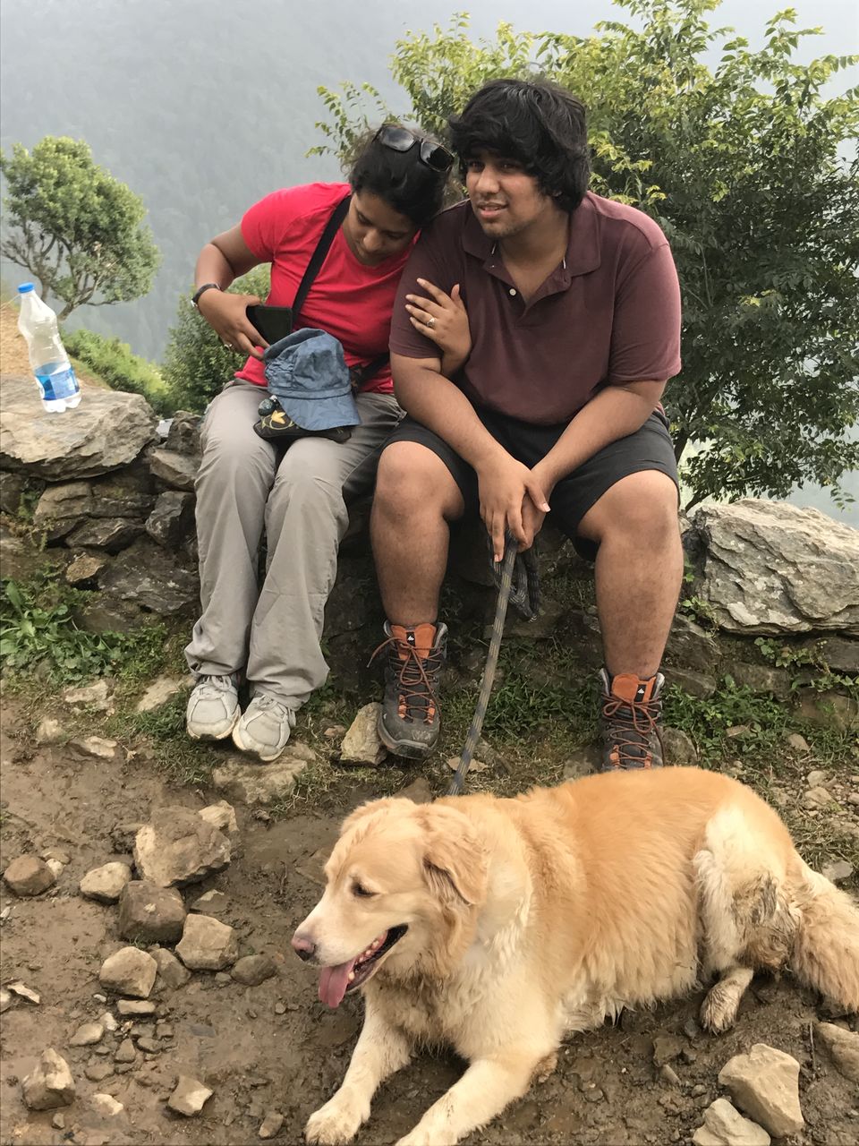 Photo of Nag Tibba Trek: Travel with your dog for a pawsome vacation!!! 3/37 by Nancy Johri