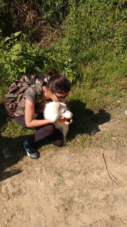 Photo of Nag Tibba Trek: Travel with your dog for a pawsome vacation!!! 7/37 by Nancy Johri