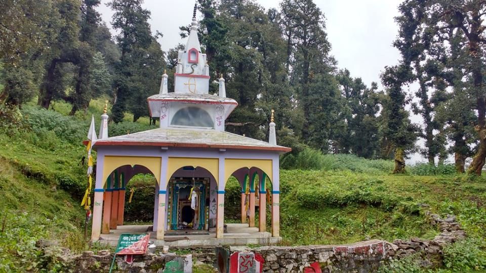 Photo of Nag Tibba Trek: Travel with your dog for a pawsome vacation!!! 14/37 by Nancy Johri
