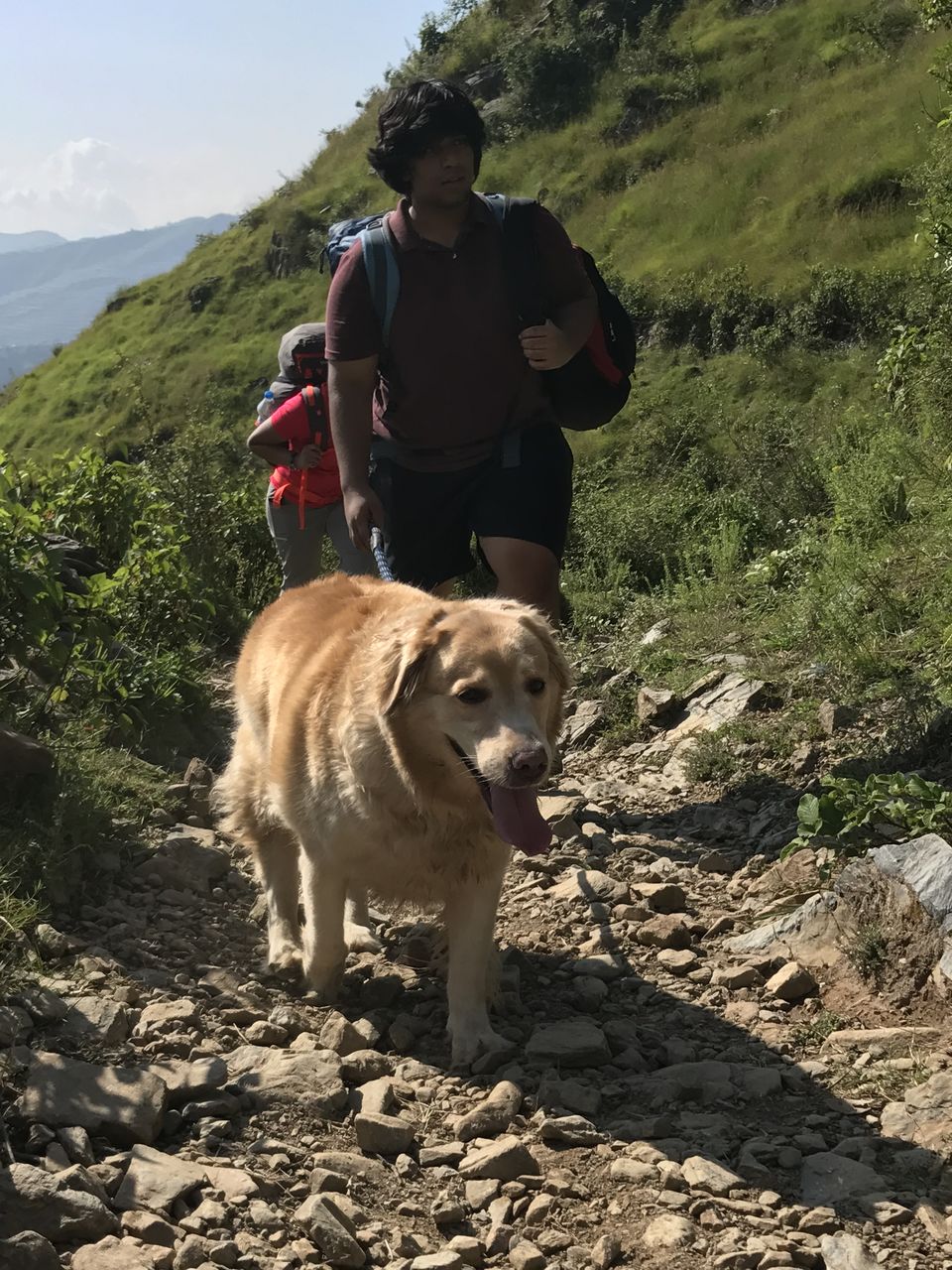 Photo of Nag Tibba Trek: Travel with your dog for a pawsome vacation!!! 16/37 by Nancy Johri