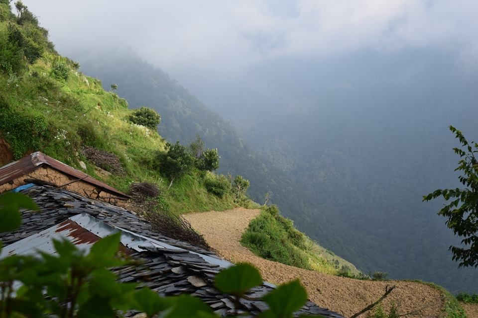 Photo of Nag Tibba Trek: Travel with your dog for a pawsome vacation!!! 19/37 by Nancy Johri