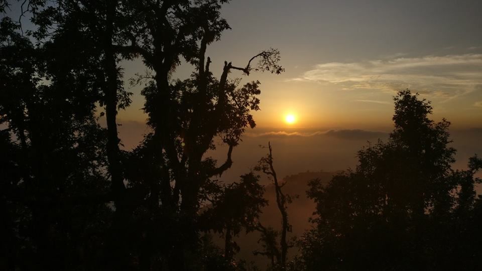 Photo of Nag Tibba Trek: Travel with your dog for a pawsome vacation!!! 22/37 by Nancy Johri