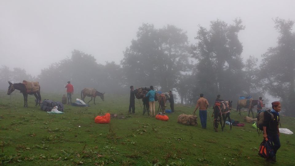 Photo of Nag Tibba Trek: Travel with your dog for a pawsome vacation!!! 24/37 by Nancy Johri