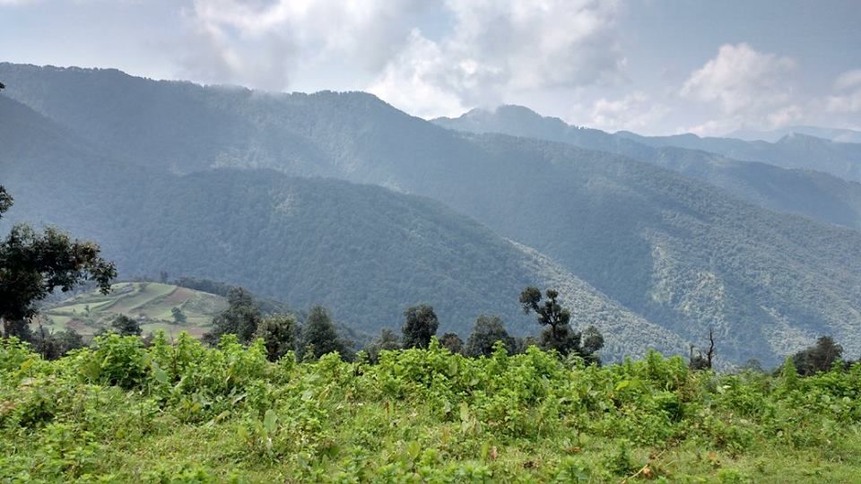 Photo of Nag Tibba Trek: Travel with your dog for a pawsome vacation!!! 25/37 by Nancy Johri