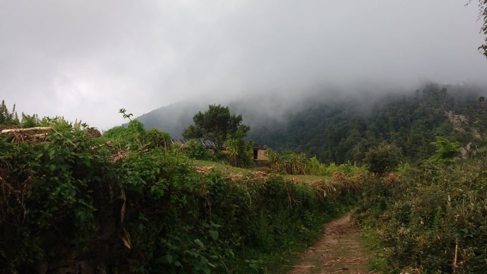 Photo of Nag Tibba Trek: Travel with your dog for a pawsome vacation!!! 30/37 by Nancy Johri