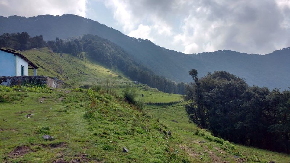 Photo of Nag Tibba Trek: Travel with your dog for a pawsome vacation!!! 32/37 by Nancy Johri