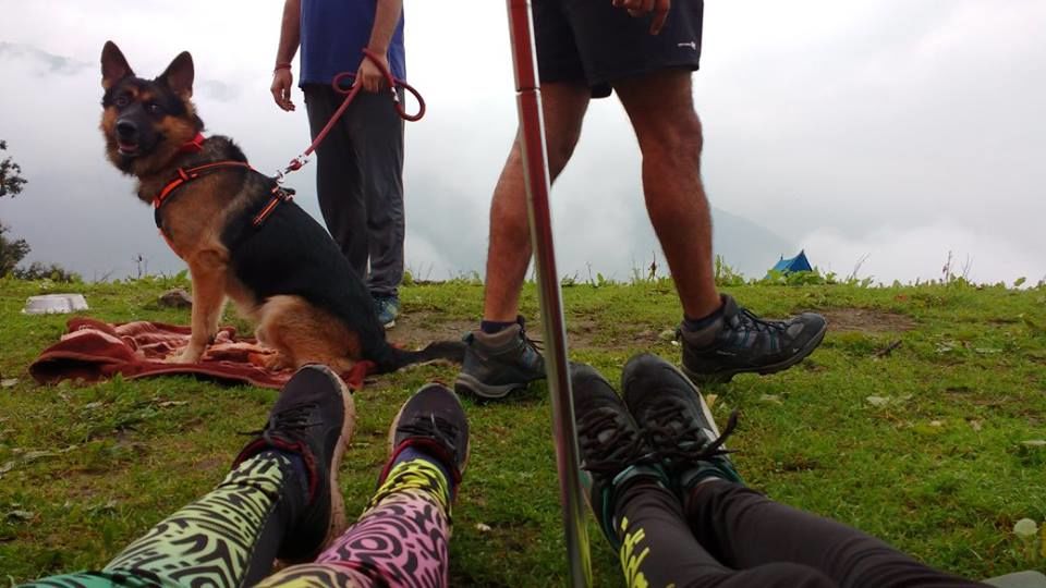 Photo of Nag Tibba Trek: Travel with your dog for a pawsome vacation!!! 35/37 by Nancy Johri