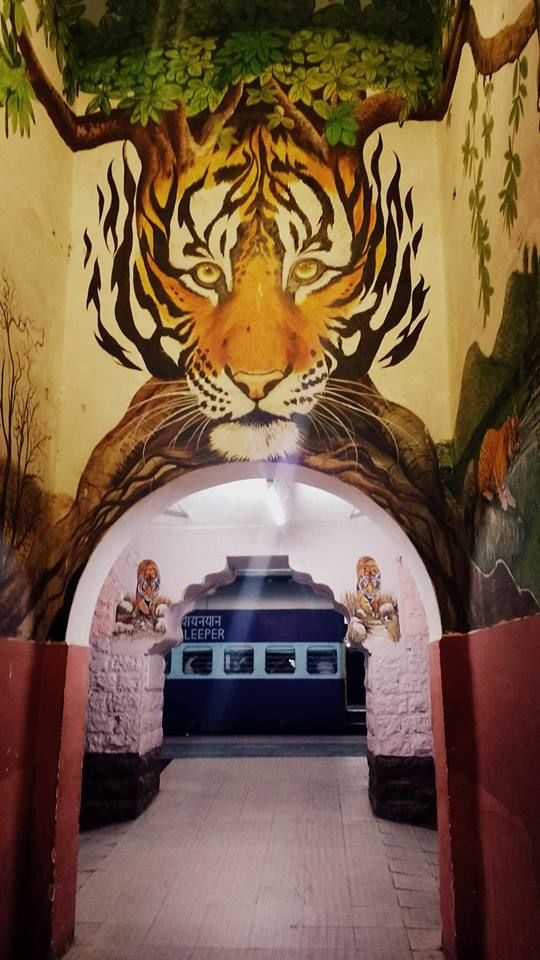 Photo of How to Spot a Tiger in Ranthambore National Park? 2/5 by Nancy Johri