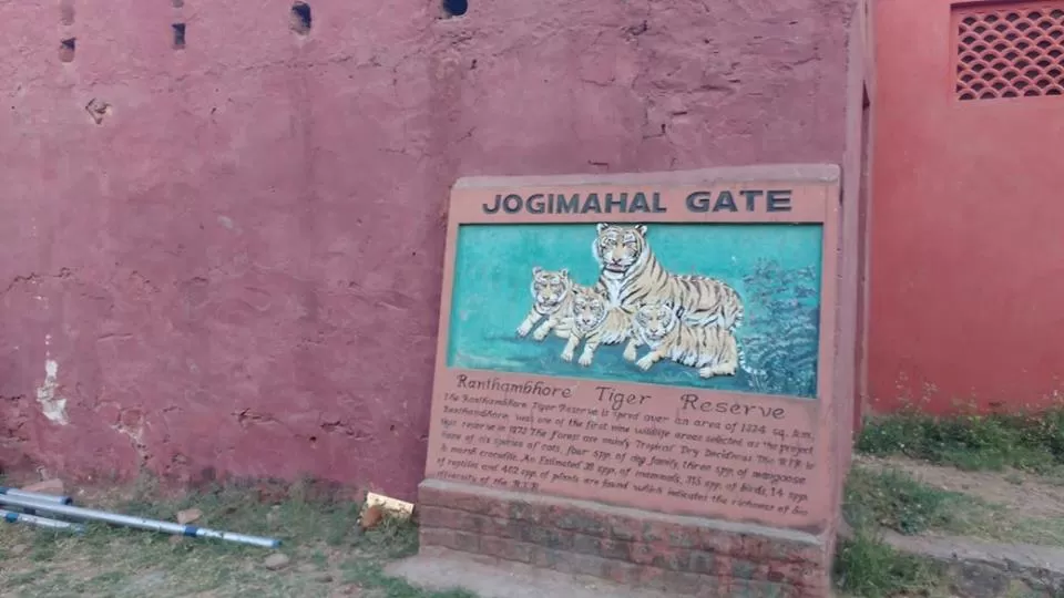 Photo of Jogi Mahal, Ranthambhore Fort, Rajasthan, India by Nancy Johri