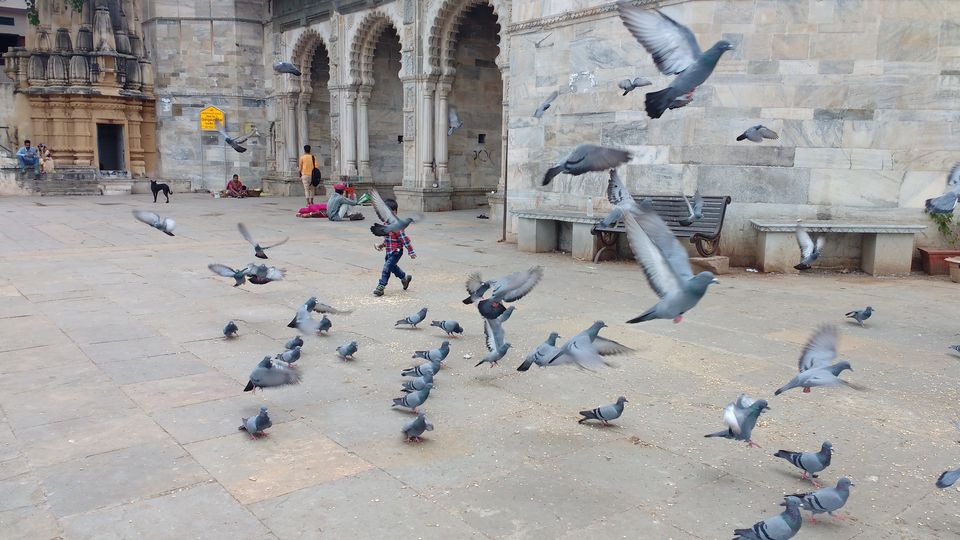 Photo of Udaipur Diaries- Solo Trip to Venice of the East by Nancy Johri
