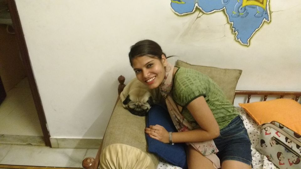 Photo of Udaipur Diaries- Solo Trip to Venice of the East by Nancy Johri