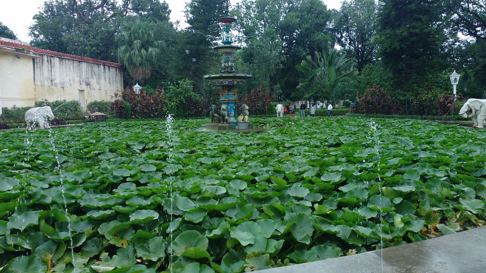 Photo of Udaipur Diaries- Solo Trip to Venice of the East by Nancy Johri