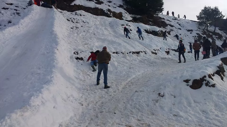 Photo of Shimla, Himachal Pradesh, India by Nancy Johri